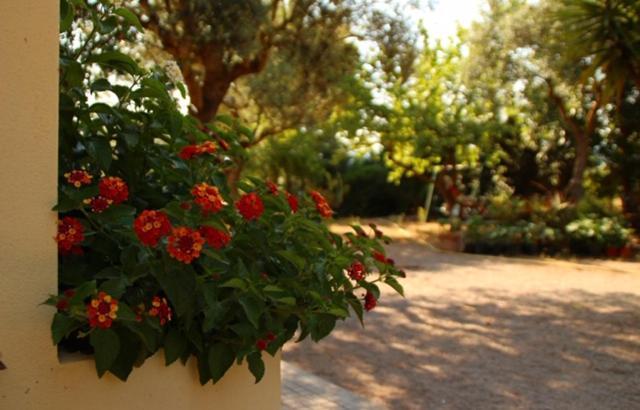 Rio Barca Bed And Breakfast Alghero Eksteriør bilde